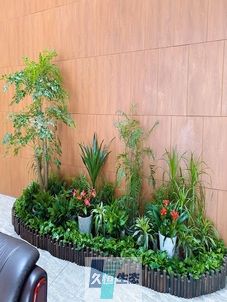 西湖企业大厅绿植组合摆放